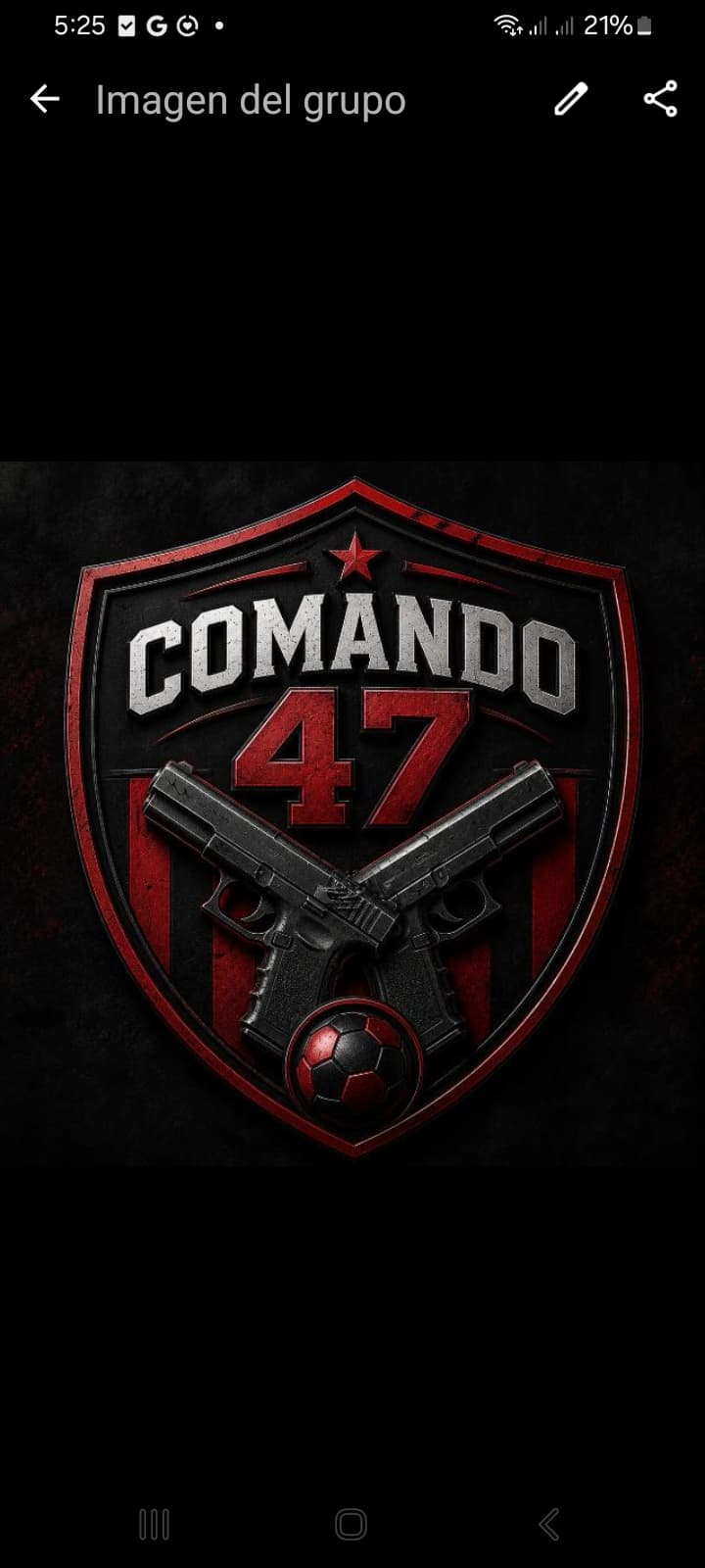 COMANDO 47