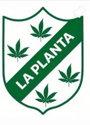 LA PLANTA FC